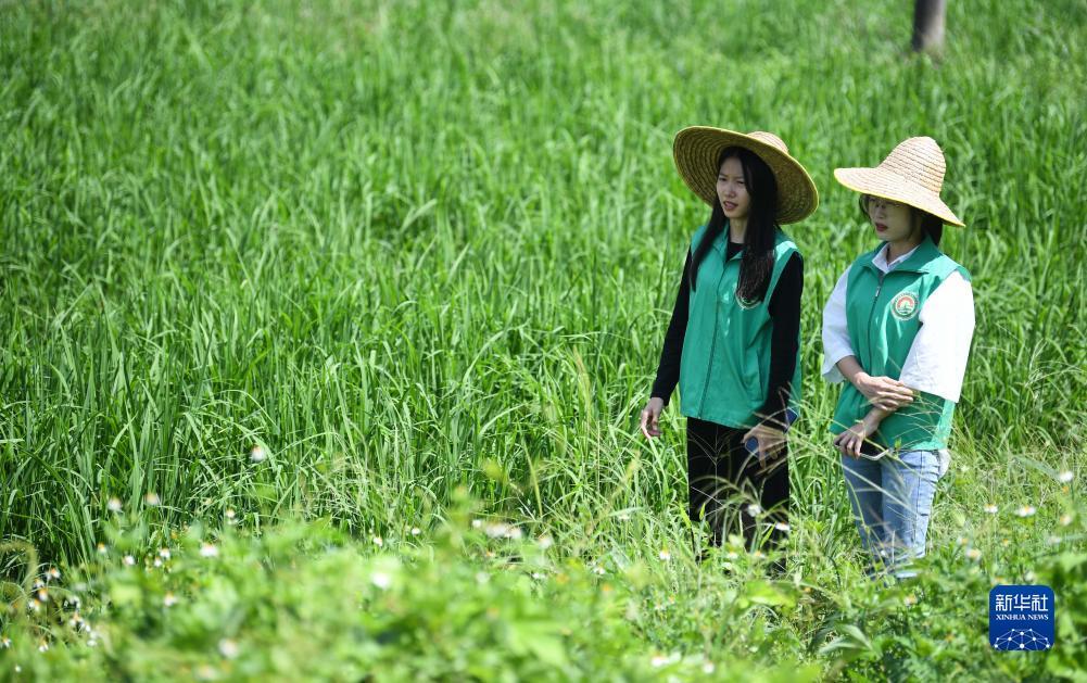 必发365网投